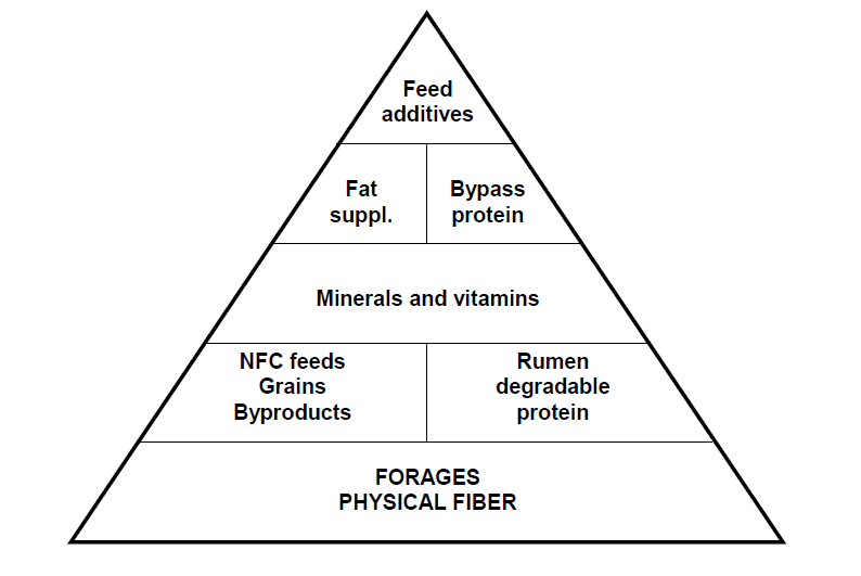 Formulating dairy cow rations